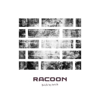 Racoon Brick