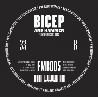 Bicep - Rays