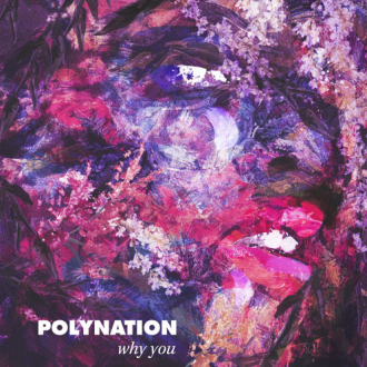 Polynation - Why You