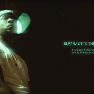 Mick Jenkins - Elephant in the room
