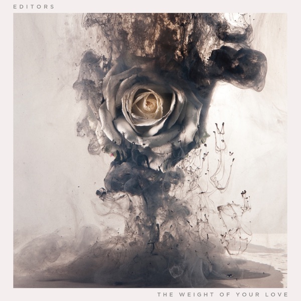 Editors Weight