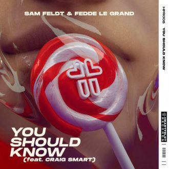 Sam Feldt Ft. Fedde Le Grand & Craig Smart - You Should Know