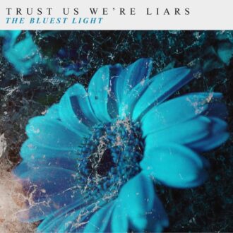 Trust Us We're Liars The Bluest Liars