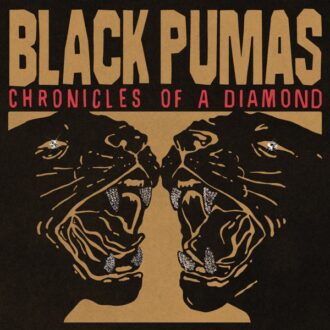 Black Pumas Chronicles Of A Diamond