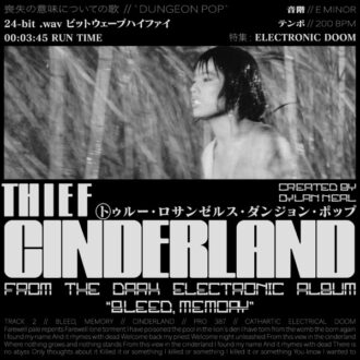 Thief Cinderland