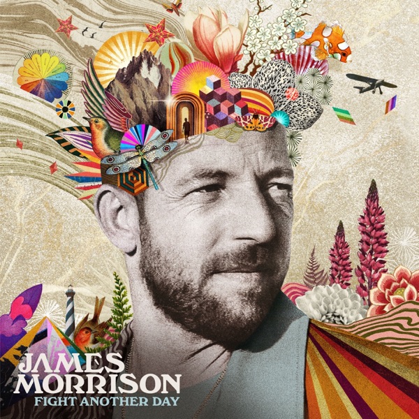 James Morrison Fight