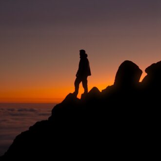 Martin Garrix Catharina