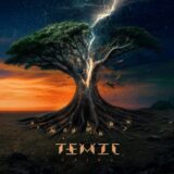 TEMIC – Ceased to Be