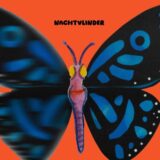 Mr. Heleen – Nachtvlinder