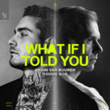 Armin van Buuren & Douwe Bob – What If I Told You